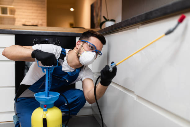  Maysville, KY Pest Control Pros