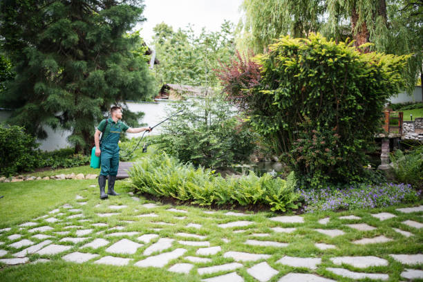 Wasp Removal Services in Maysville, KY