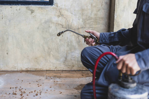 Best Exterminator Services  in Maysville, KY