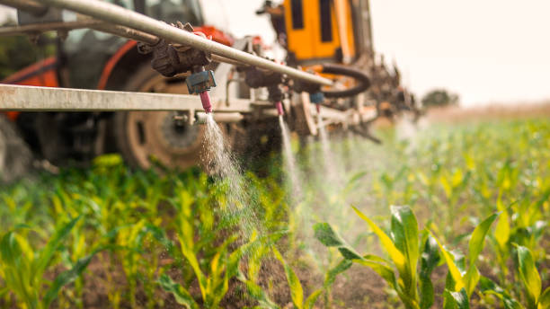 Reliable Maysville, KY Pest Control Solutions